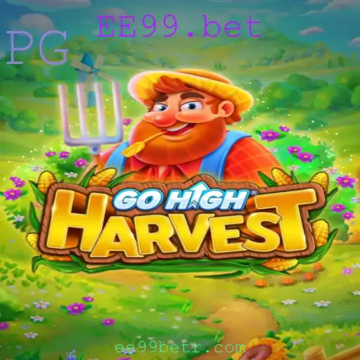 GoHighHarvest: Guia Completo e Atualizado do Jogo